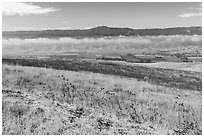 South Coyote Valley agricultural lands from Coyote Ridge Open Space Preserve. California, USA ( black and white)