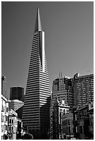 Transamerica Pyramid and Columbus Tower. San Francisco, California, USA (black and white)