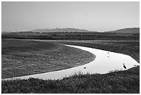 Wetlands at dusk, Palo Alto Baylands Preserve. Palo Alto,  California, USA (black and white)