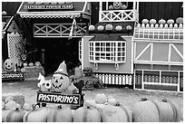 Pastorino pumpkin farm. Half Moon Bay, California, USA (black and white)