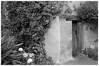 Flowers and wall of Mission. Carmel-by-the-Sea, California, USA ( black and white)