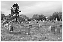 Lawn cemetery. Salem, Massachussets, USA (black and white)