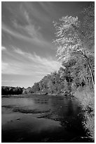 Trees and river, Banning State Park. Minnesota, USA ( black and white)