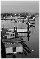 Houseboats and Mt Hood. Portland, Oregon, USA (black and white)