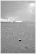 Pebbles on Frozen Klamath Lake. Oregon, USA (black and white)