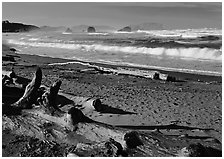 Logs on beach and surf near Bandon. Bandon, Oregon, USA ( black and white)