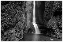 Oneonta Falls. Columbia River Gorge, Oregon, USA (black and white)
