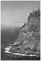 Seacliff near Cap Meares. Oregon, USA ( black and white)