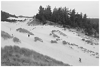Dunes and hikers, Oregon Dunes National Recreation Area. Oregon, USA (black and white)