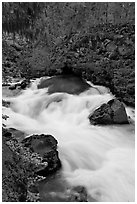 Water flowing from under basalt tube. Oregon, USA ( black and white)