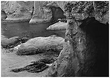 Deep Sea caves, Cape Flattery, Olympic Peninsula. Olympic Peninsula, Washington ( black and white)