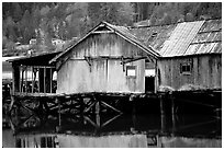 Old wooden pier, Olympic Peninsula. Olympic Peninsula, Washington ( black and white)