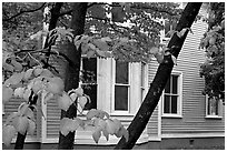 Leaves and house detail. Columbia, South Carolina, USA ( black and white)