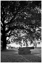 Cannon, bench, and oak tree, sunrise. Beaufort, South Carolina, USA (black and white)