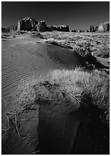 Grasses and sand dunes. Monument Valley Tribal Park, Navajo Nation, Arizona and Utah, USA ( black and white)