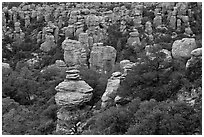 Pictures of Chiricahua National Monument