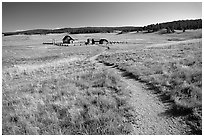 Trail and historic barns,  Florissant Fossil Beds National Monument. Colorado, USA (black and white)