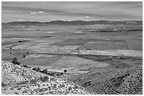 Agricultural lands, Carson Valley. Genoa, Nevada, USA (black and white)