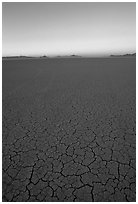 Dried mud lakebed, dawn, Black Rock Desert. Nevada, USA (black and white)