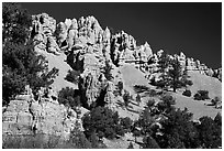 Hoodoos, Red Canyon, Dixie National Forest. Utah, USA (black and white)
