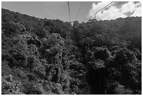 Tropical forest seen from cable car. Ta Cu Mountain, Vietnam ( black and white)