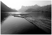 Wood being floated on Ba Be Lake. Northeast Vietnam (black and white)
