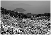 Hai Van (sea of clouds) pass marks the climatic limits of the South, between Da Nang and Hue. Vietnam (black and white)