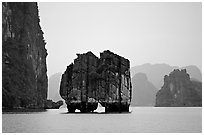 Rock formation standing among the islands. Halong Bay, Vietnam (black and white)