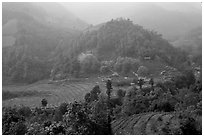 Morning fog on terraced rice fields and village. Sapa, Vietnam (black and white)