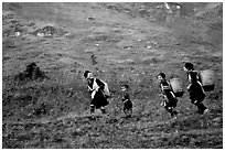 Hmong women back from the fields. The back basket is typically used by mountain tribes. Sapa, Vietnam ( black and white)