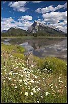 First Vermillon Lake and Mt Rundle, afternoon. Banff National Park, Canadian Rockies, Alberta, Canada ( color)