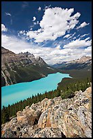 Turquoise Peyto Lake. Banff National Park, Canadian Rockies, Alberta, Canada