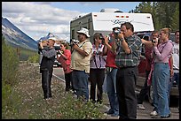 Tourists lined up on Icefields Parkway to photograph wildlife. Jasper National Park, Canadian Rockies, Alberta, Canada (color)