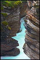 Narrow canyon at the base of Athabasca Falls. Jasper National Park, Canadian Rockies, Alberta, Canada ( color)