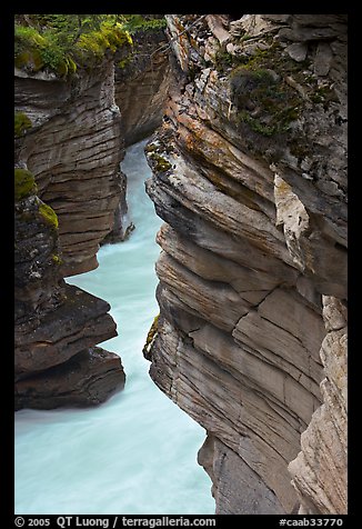 Gorge at the base of Athabasca Falls. Jasper National Park, Canadian Rockies, Alberta, Canada