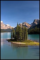 Evergreens on Spirit Island, Maligne Lake, afternoon. Jasper National Park, Canadian Rockies, Alberta, Canada (color)