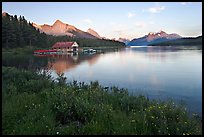 Wildflowers, Maligne Lake and boathouse, sunset. Jasper National Park, Canadian Rockies, Alberta, Canada