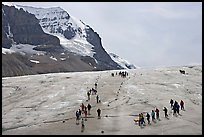 Groups of people amongst glacier and peaks. Jasper National Park, Canadian Rockies, Alberta, Canada (color)