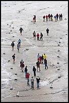 People in delimited area, Athabasca Glacier. Jasper National Park, Canadian Rockies, Alberta, Canada (color)