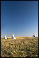 Teepee tents and prairie, late afternoon, Head-Smashed-In Buffalo Jump. Alberta, Canada (color)