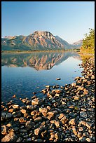 Pebbles, Middle Waterton Lake, and Vimy Peak, early morning. Waterton Lakes National Park, Alberta, Canada (color)