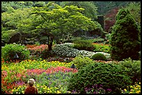 Tourist looking at flowers and trees in the Sunken Garden. Butchart Gardens, Victoria, British Columbia, Canada