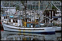 Fishing boat in harbour, Uclulet. Vancouver Island, British Columbia, Canada