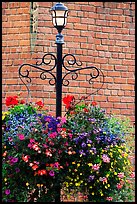 Flowers, street lamp, brick wall. Victoria, British Columbia, Canada (color)