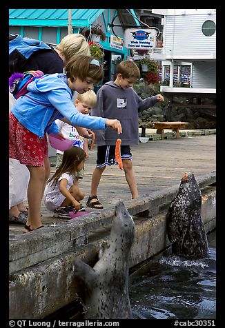 Kids feeding harbour seals, Fisherman's wharf. Victoria, British Columbia, Canada