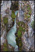 Limestone walls carved by Tokkum Creek, Marble Canyon. Kootenay National Park, Canadian Rockies, British Columbia, Canada (color)
