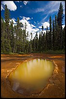 Ochre mineral pool called Paint Pot, used as a source of color by the First Nations. Kootenay National Park, Canadian Rockies, British Columbia, Canada