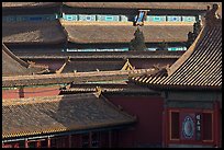Rooftops details, Forbidden City. Beijing, China ( color)