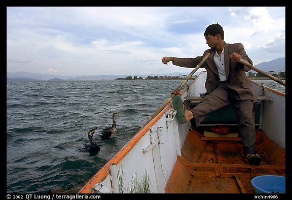 Cormorant fisherman sends out his birds. Dali, Yunnan, China (color)