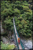 Hikers cross suspension bridge. Taroko National Park, Taiwan ( color)